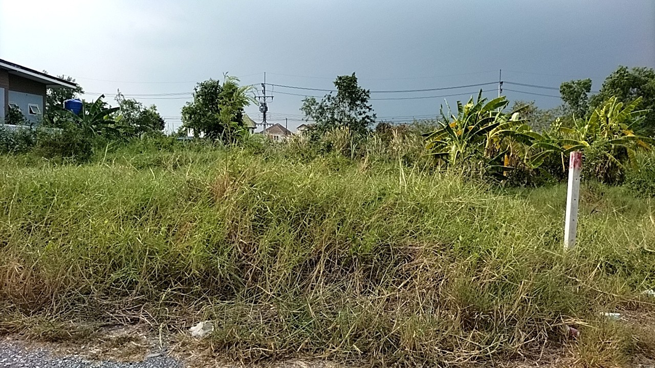 ขายที่ดินในหมู่บ้านสวนรีสอร์ท คลองห้า จังหวัดปทุมธานี